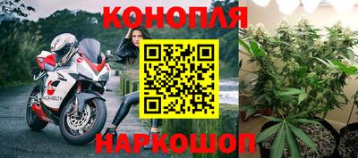 прущие грибы Гусиноозёрск