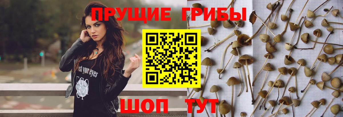 Галлюциногенные грибы MAGIC MUSHROOMS  Вход с VPN  Галлюциногенные грибы мицелий  Нефтеюганск 